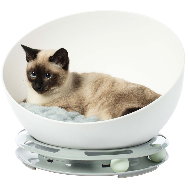 Boss cat outlet bed